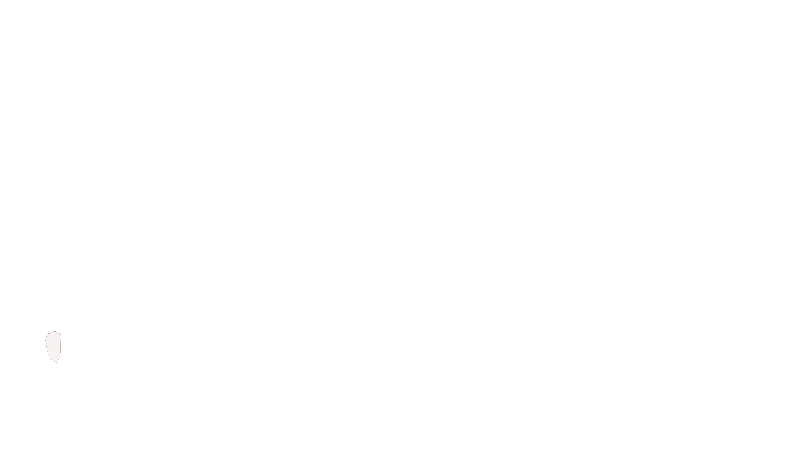 President Donald J. Trump Signature